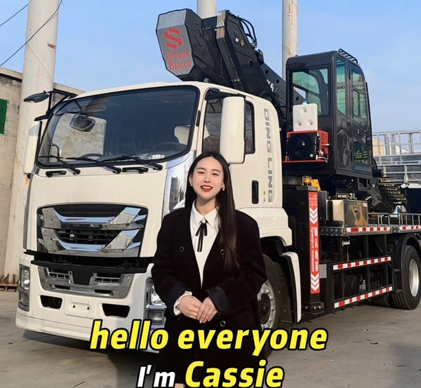 Isuzu 45M Aerial Work Truck