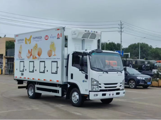 ISUZU Intelligent Live Chick Transport Refrigerated Truck